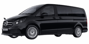 Mercedes V-300d